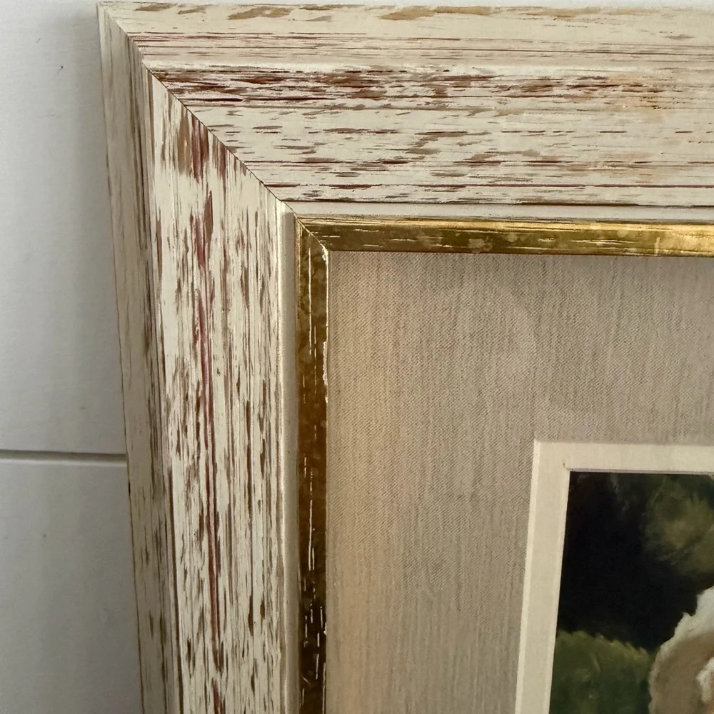 Kathryn White Framed Print “Rose Blanche Detail” 14x14